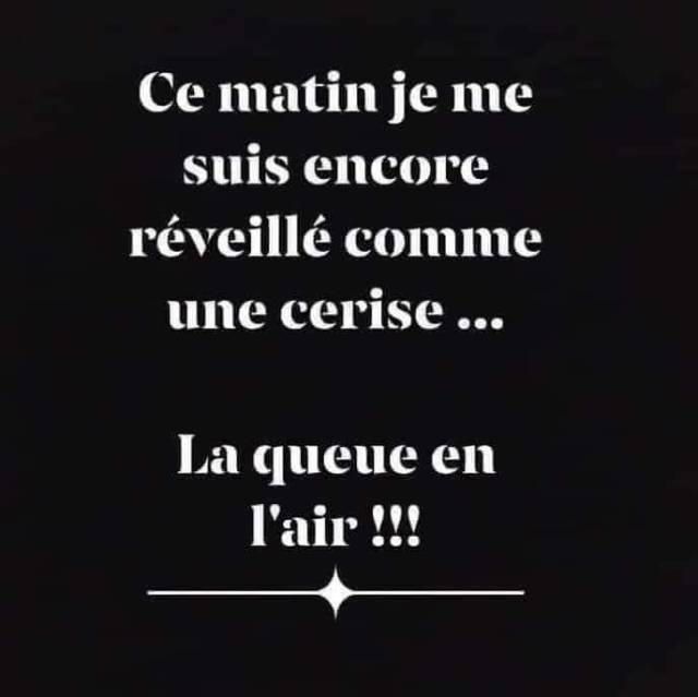 orgasmekriss:     😂😂😂Moi je me réveille, la queue dans sa petite cage d'acier, compressée par une grosse érection très matinale. Je pense qu'elle avait envie de se frotter à un magnifique gros cul de cafrine, le plus beau cul du monde. Le