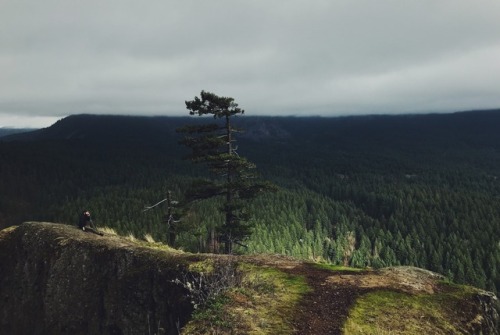 justapplyyourself: Wind Mountain. Stevenson, Washington.