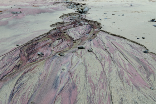 Rosino aka Rosa Cabecinhas, Alcino Cunha - Pfeiffer Beach, Big Sur, CA, USA, 2012  (The purple sand 