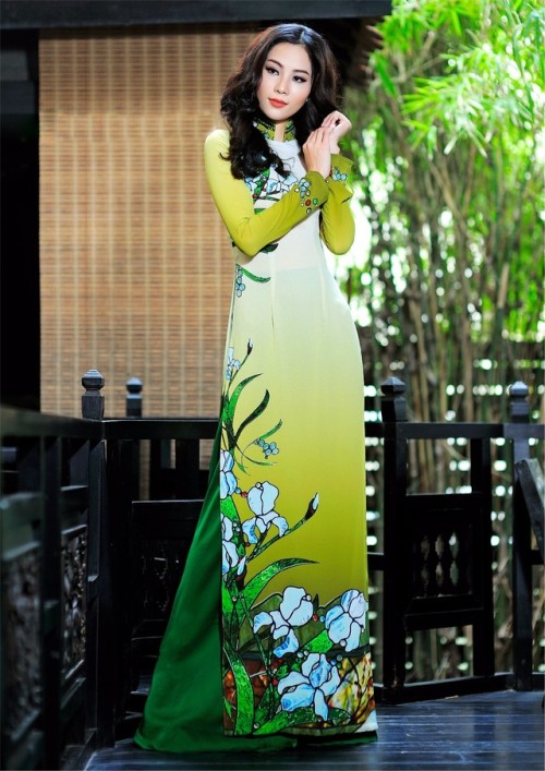 Vietnamese ao dai by Thai Tuan