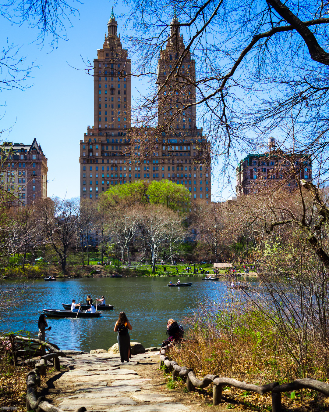 PWH3 — Springtime at the Central Park Lake, New York...