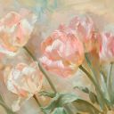 marchtomayflowers - MarchToMayFlowers