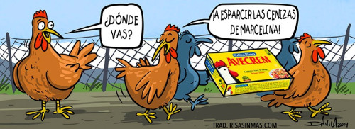 risasinmas:  Entierro en el corral
