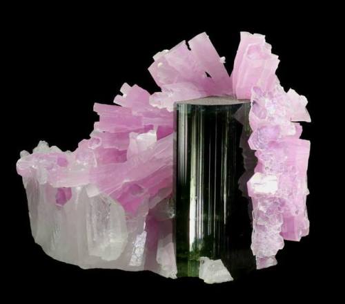 geologyin-blog: Elbaite and lepidolite from Pederneira Mine, MG, Brazil. Photo: Van King