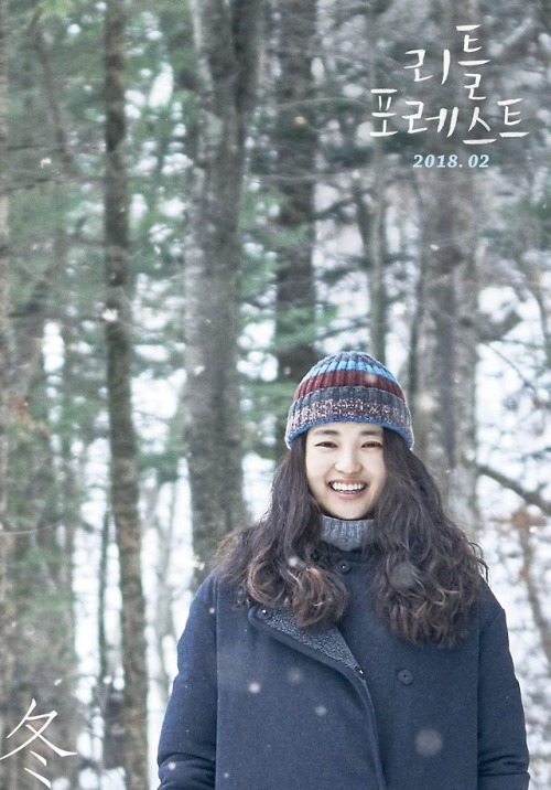 appassionataaa: ‘Little Forest’ Seasons Ver. Posters