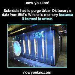 glampersand:  jami-c:  harshflow:  zarlizzard:  joetheyarharpirate:  jammerlee:  nowyoukno:  Source for more facts follow NowYouKno  Emergent behavior at its finest! XD  “And now we would like to demonstrate Watson, the latest in artificial intelligence.