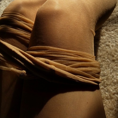 XXX insanity34:  herhosiery:  Decided to try photo