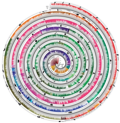 Scientists Develop New Model Of Lifes Evolution