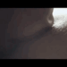 lovevanessa: