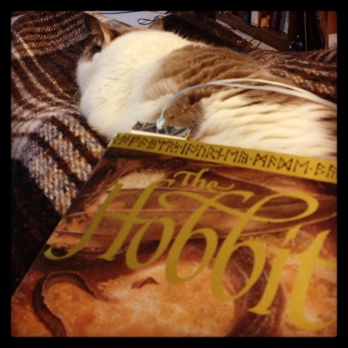 chocolatequeennk: Reading with Smokey @mostlycatsmostly