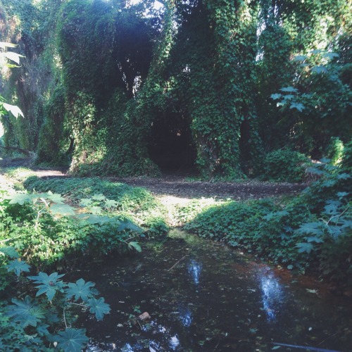 motherearthsistermoon:  Finding inner peace today at a beautiful little hidden sanctuary