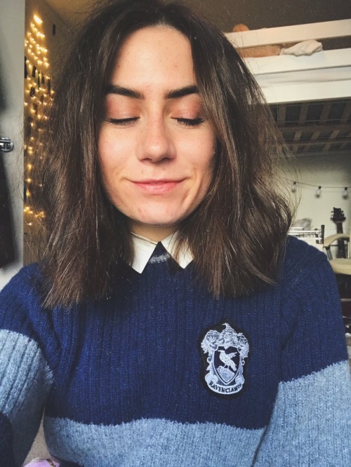 doddle-dodes:official ravenclaw