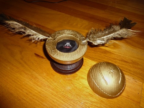 dahbahtman:  Geek Engagement Ring Boxes Golden Snitch (Harry Potter) Carl’s House (Up) Harry Potter 