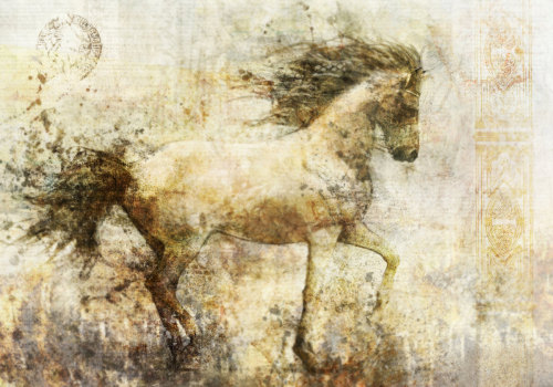 lohrien:  Illustrations by Ken Roko etsy l tumblr