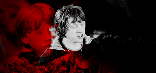 stuckwith-harry:  We are not the same. 