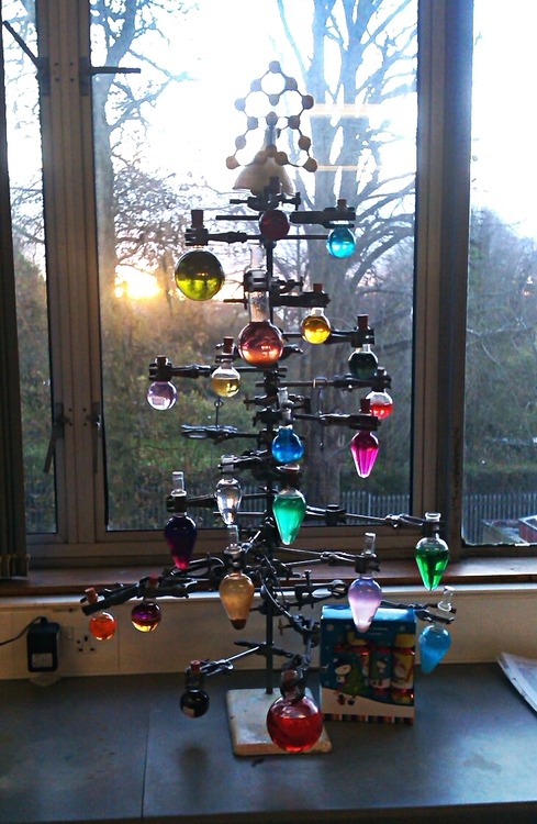 science-jesus:  sisterjuliennes:  canissiriusmajor:  highfunctioningshirtbuttons:  Our class has the best Christmas tree.  oh my god it’s our chemistree  BLESS  But of the tree of the laboratory, thou shalt not eat of it: for in the day that thou eatest
