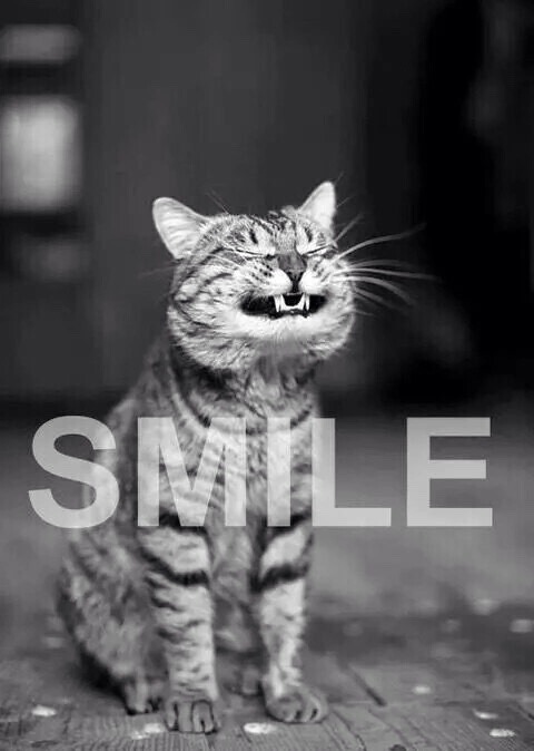 lovepeacexxoo:  😁❤️