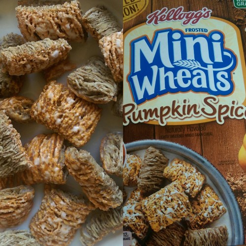 I’m allergic to pumpkin flavored things..but I just can’t stop