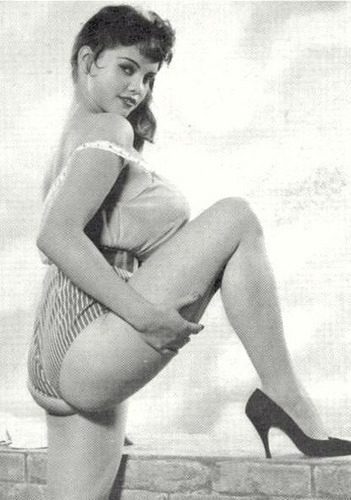 XXX Vintage Lingerie Collection photo