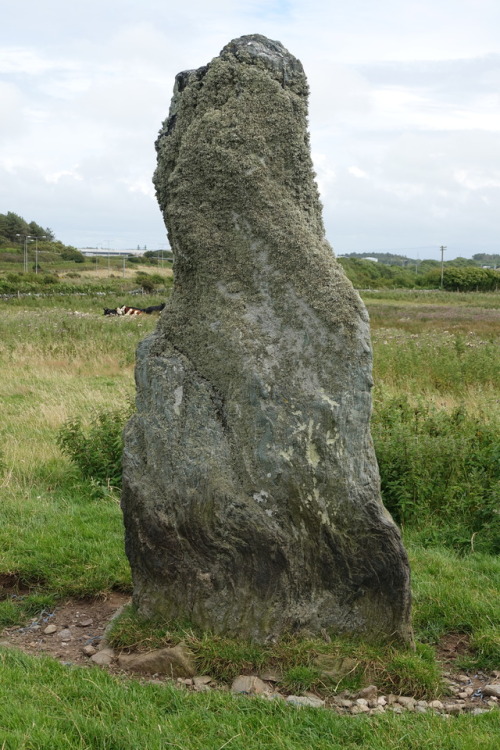 Ty Mawr Standing Stone, Anglesey, North Wales, 30.7.17. A solitary but impressive standing stone; p