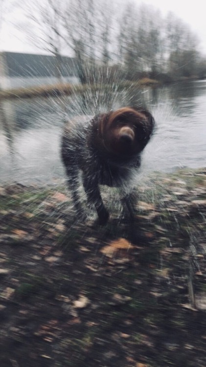 doctordee: trustre:Oscar | more  Oscar assumes his inner porcupine at times.