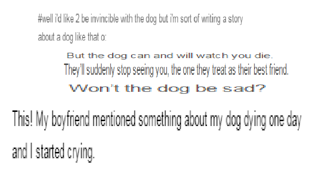 kuueater:  kuueater:  I just want an invincible dog. That’s it. A dog that can