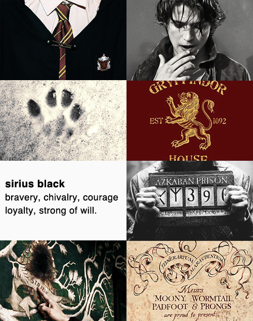 siriusorion:  HARRY POTTER CHARACTERS | sirius black 