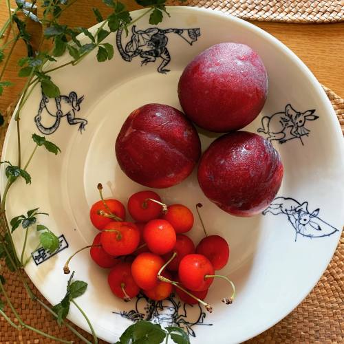 夏真っ盛りの暑さの毎日。 キンと冷やした果物をいただくしあわせ。 鳥獣戯画のお皿は 染付けの碧が涼しげで いくつもの場面が描いてあり、楽しい器です。 #ceramics #porcelain #pot