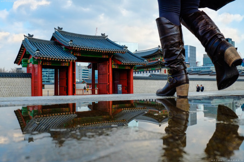 Porn Pics aftonalmaraz:People walk towards the Gyeongbokgung