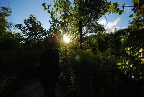 Are You The Adventurous Type? #FollowYourSoul #ChaseYourDreams-Frick Park, Pittsburgh-