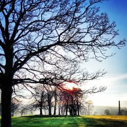 agentlemanweeps:  Lunchtime fog (Aberdeen)