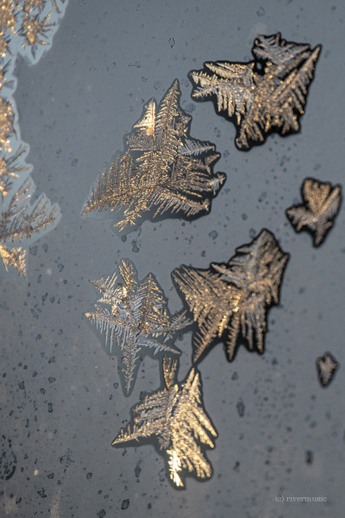 riverwindphotography:Sunrise… captured by intricate crystals of frost on glass. © riverwindphotograp