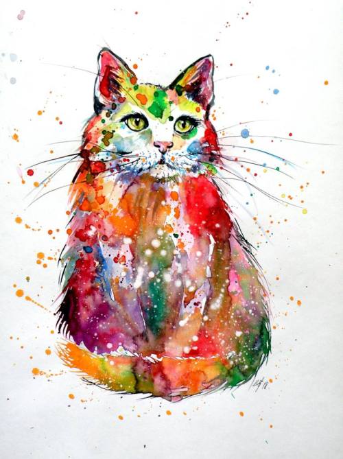 adamthegirl: colorful cat by kovacs anna brigitta