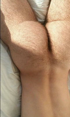 ty3141: comeandtouch:     Gorgeous hairy ass.  