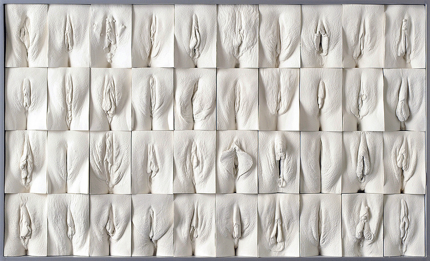 artandunmentionables:  Jamie McCartney, The Great Wall of Vagina“Vulvas and labia