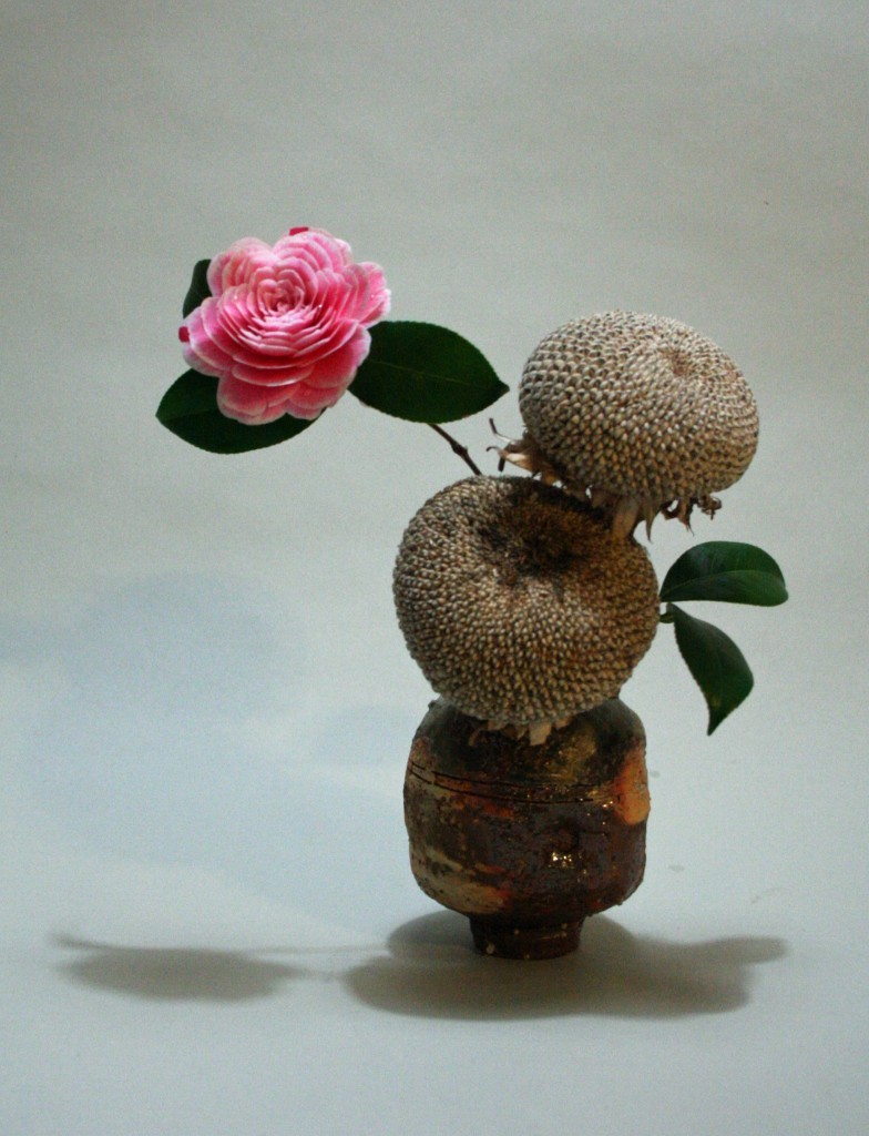 ostrou:  mono–ha:  Keith Stanley’s 365 Days of Ikebana
