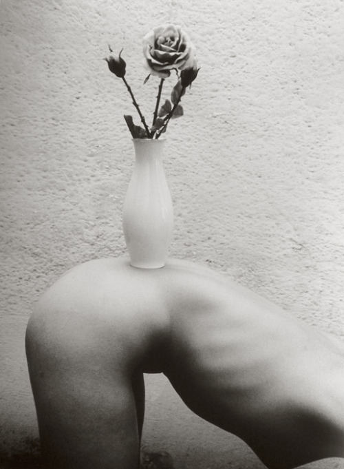 Porn photo Marcel Mariën - Female Nude with Vase of