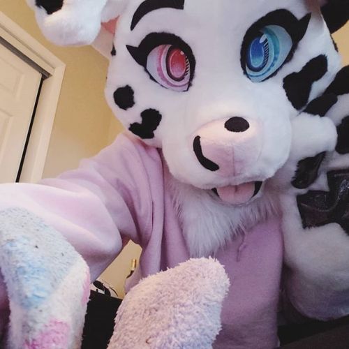 dottipink: GOD i forgot to upload so many things lately (fursuit pic wise but i’ll have about a dozen new arts too in a few days because I BUY THINGS when im sick) prepare 4 spam  