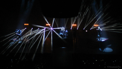 LOVE LUST FAITH + DREAMS