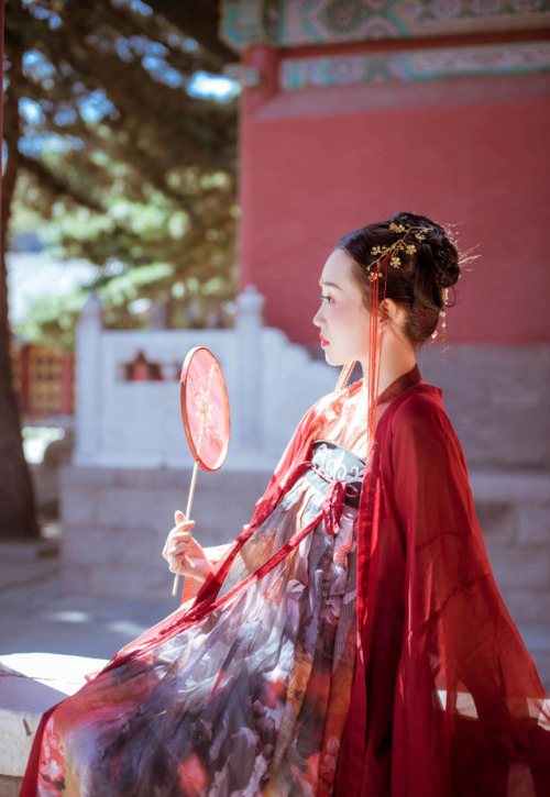 Traditional Chinese hanfu in tang dynasty style by 一只鱼摄影