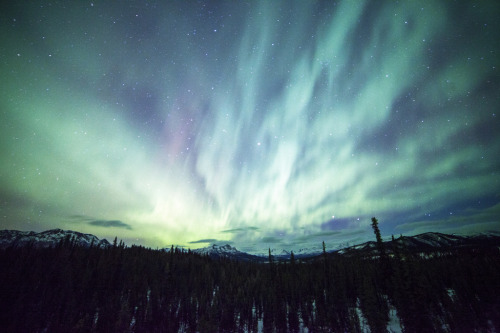 Sex brutalgeneration:  Northern Lights (by Critter pictures