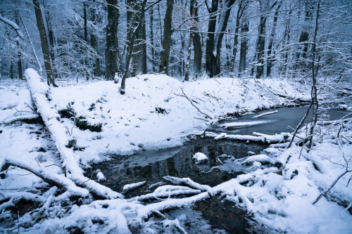 forest-faerie-spirit: {Winter Dream} by {Alex Wesche}