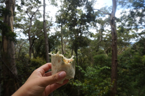 Lamington National Park - hiking makes us hungry :)