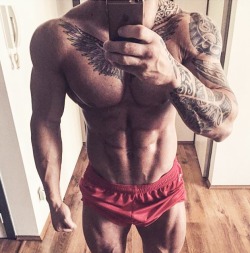 Adonis Files
