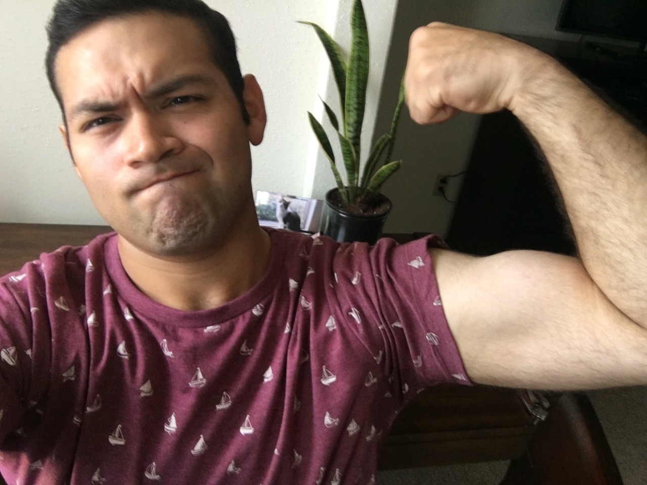 inafrankmanner:  I don’t know what I’m doing with my life, but here’s this.