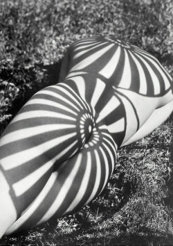 hoodoothatvoodoo:  Herb Ritts &lsquo;Neith with Shadows&rsquo;(back view), Poundridge 1985   Y - parasol