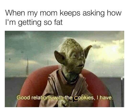 collegegainer20:  ifeedhimimmobile: feeder-jeff:    😂 relatable General Kenobi! You are a fat one!  