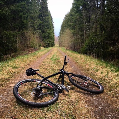 troutlaw: Endless #kraftwerk #fireline #cycling #mountainbiking #mtb #xco #ninerds #pedaldamnit