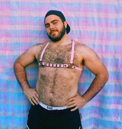 Bear in pink Him: @Beltran_h 