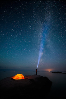 plasmatics-life:  Shooting the Stars ~ By